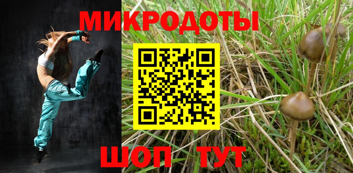 Галлюциногенные грибы Psilocybe  Вход с VPN  Ижевск 