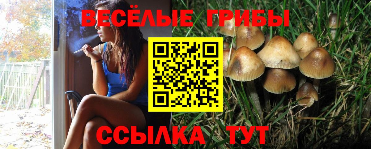 Псилоцибиновые грибы мицелий Ижевск